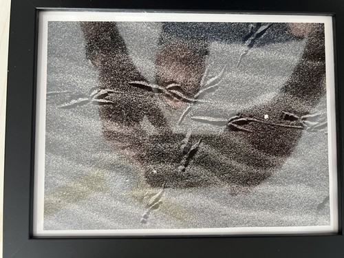 Foto analogiche - foto,
